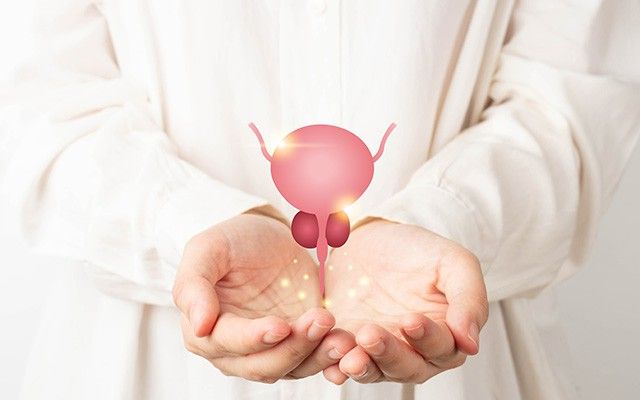 Zwei geöffnete Hände halten eine leuchtend rote, stilisierte Computergrafik, die eine Harnblase und die Prostata darstellt.