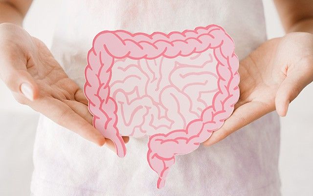 Zwei geöffnete Hände halten eine rosafarbene, schematische Zeichnung eines menschlichen Darms vor den Körper.